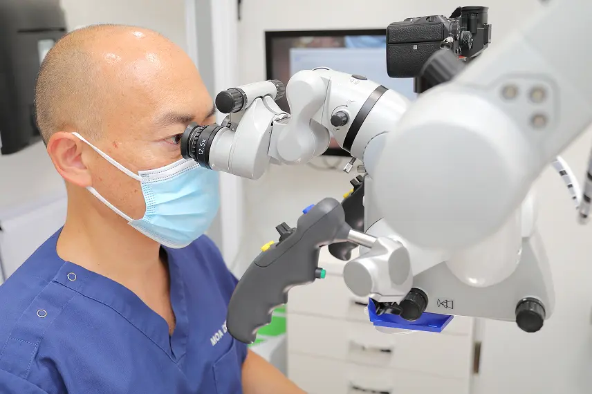 マイクロスコープを使用する様子